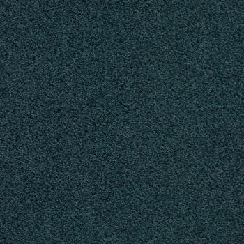 T371870 T371870